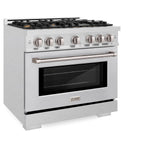 ZLINE 36 in. 5.2 cu. ft. Select Gas Range with Convection Gas Oven in DuraSnow' Stainless Steel with 6 Brass Burners (HGRS-BR-36)