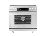 Dual Fuel Pro Range, Silver Stainless Steel, Natural Gas