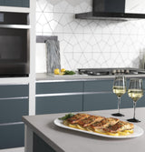 GE Profile™ 27" Smart Built-In Convection Double Wall Oven