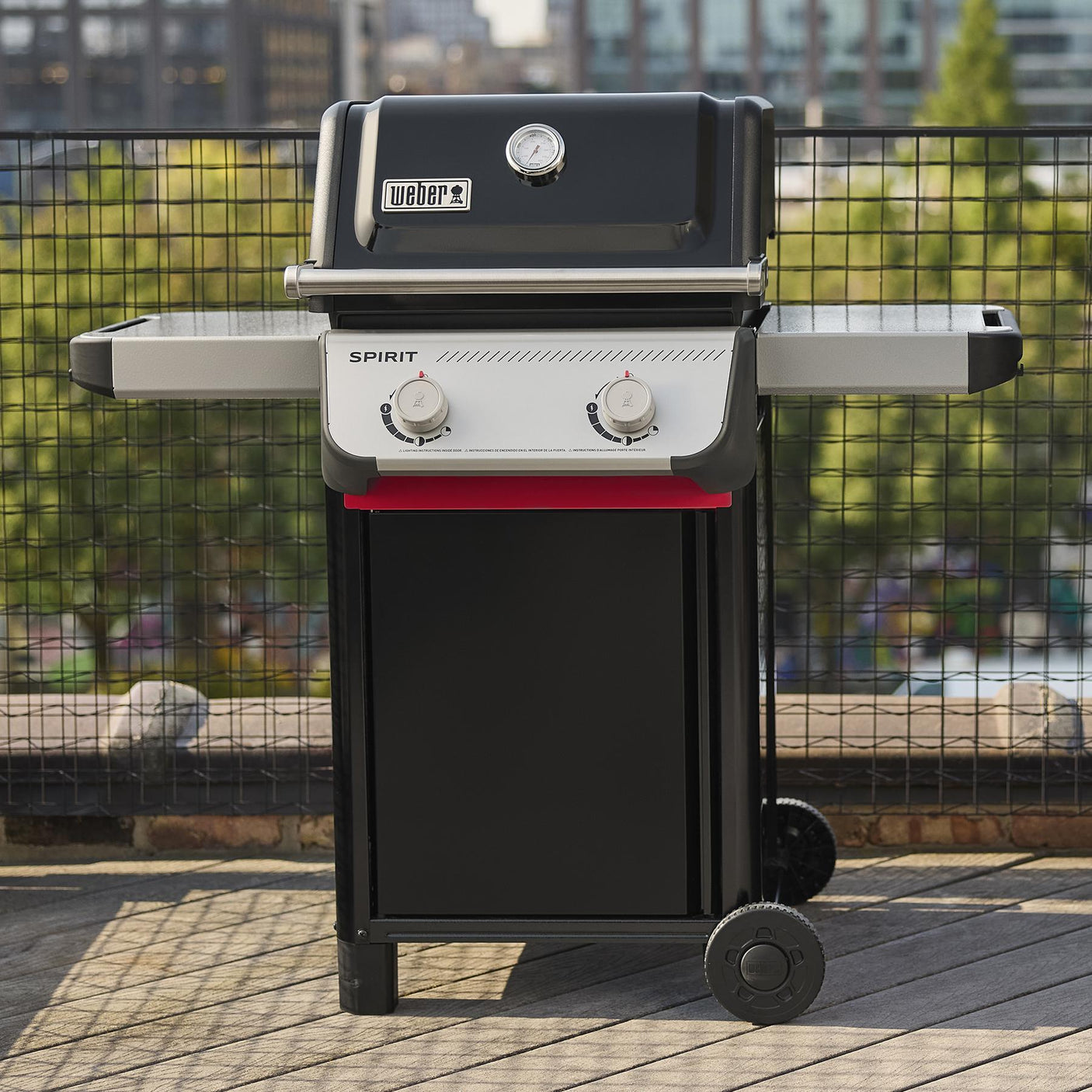 Spirit® E-210 Gas Grill (Liquid Propane) - Black