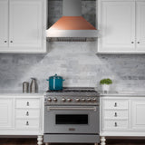 ZLINE Ducted DuraSnow Stainless Steel Range Hood with Copper Shell (8654C)