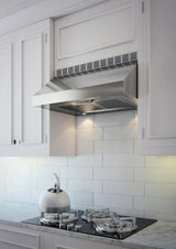 48" 1000 CFM Italian Made Pro Hood Range Hood Stainless