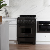 ZLINE 24 in. Professional Dual Fuel Range in Black Stainless Steel (RAB-BR-24)