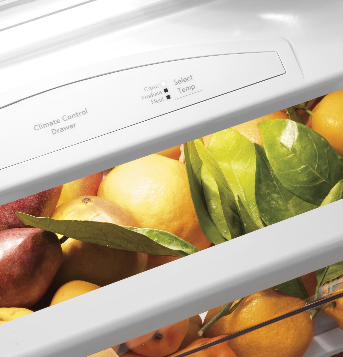 GE Profile™ 42" Smart Built-In Side-by-Side Refrigerator with Dispenser