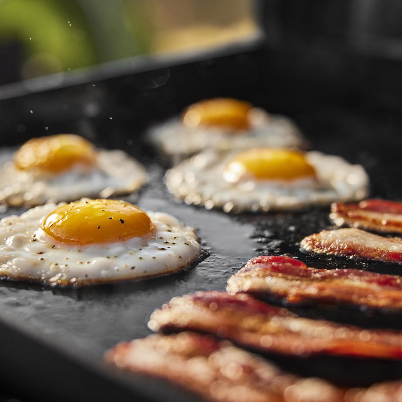 Weber Traveler® 22" Portable Griddle - Black