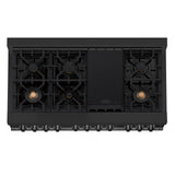 ZLINE 48 in. Black Stainless 6.0 cu. ft. 7 Gas Burner/Electric Oven Range (RAB-BR-48)