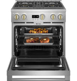 Monogram 30" Dual-Fuel Professional Range with 4 Burners