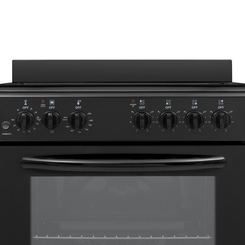 Element Electronics 24" Electric Range (EER244MSCB)