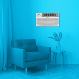 Element Through-the-Wall 10,000 BTU, 115V Air Conditioner - White (ETTW10D)