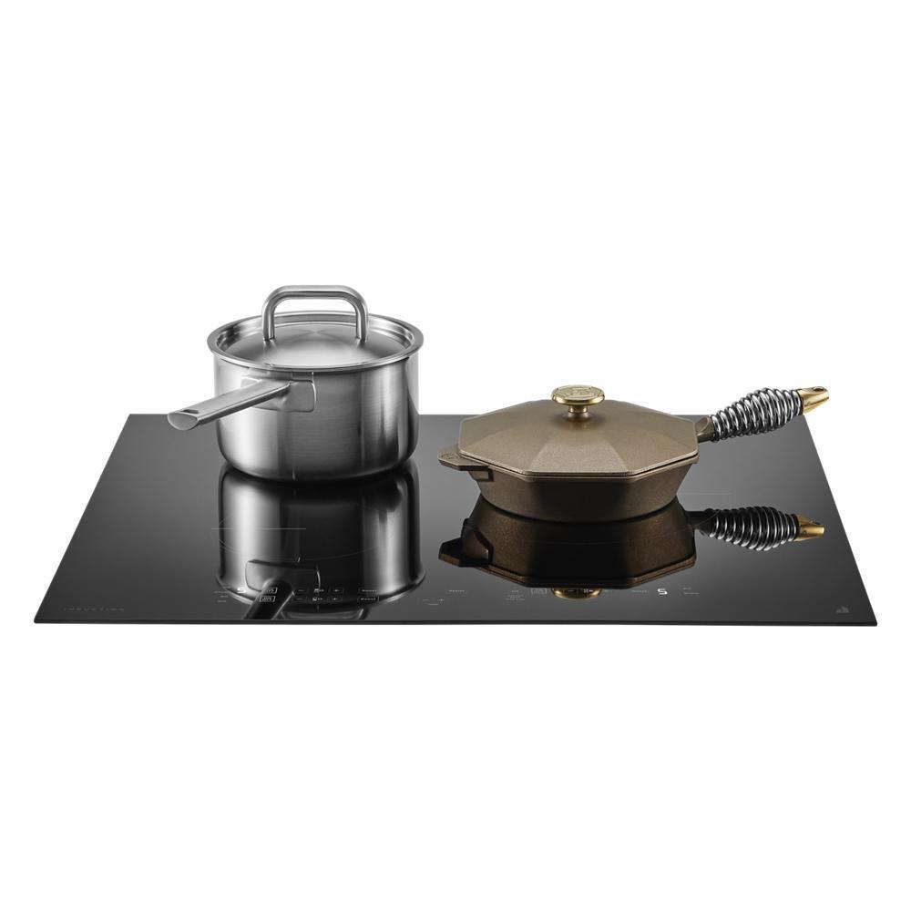 Oblivion Glass 24" Induction Cooktop