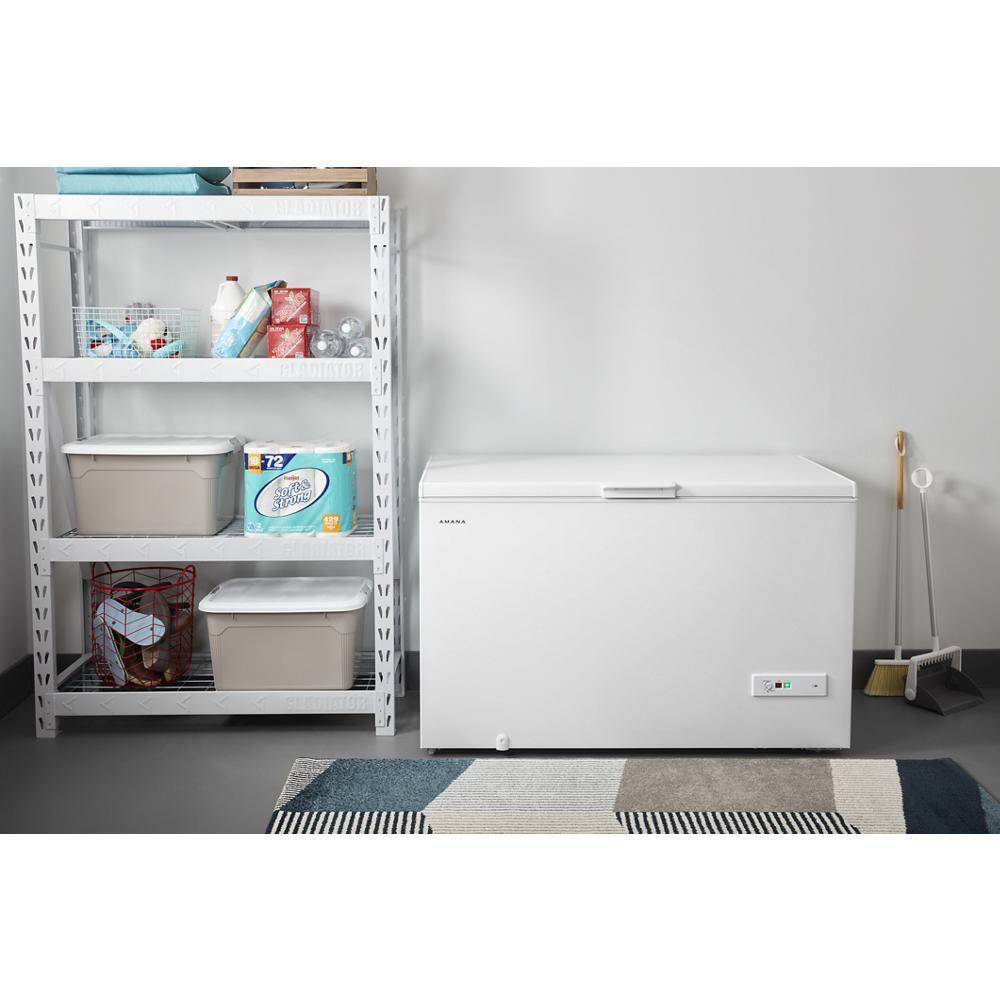 16 cu. ft. Amana® Chest Freezer