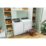 4.5 Cu. Ft. Top Load Agitator Washer with Built-In Faucet