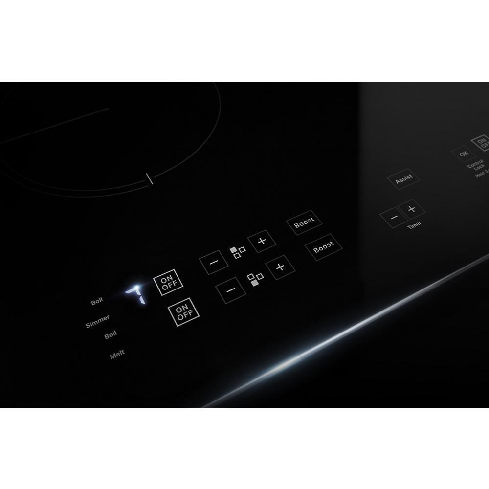 Oblivion Glass 24" Induction Cooktop