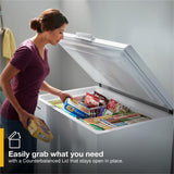 9 Cu. Ft. Convertible Freezer to Refrigerator with Baskets