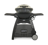 Q™ 3200™ LP Gas Grill - Titanium