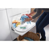 7.0 cu. ft. Top Load Electric Dryer with AutoDry™ Drying System