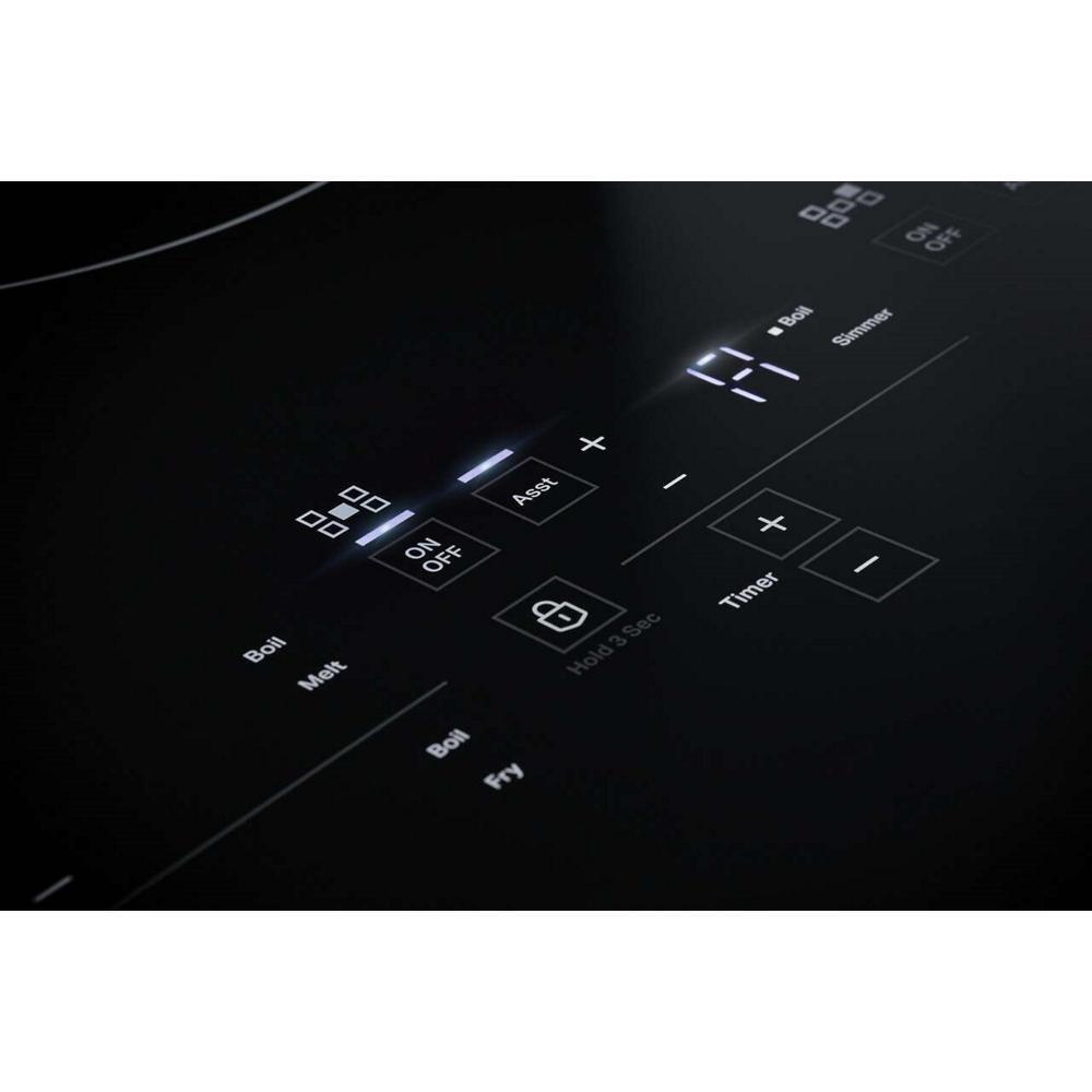 Oblivion 30" Induction Cooktop