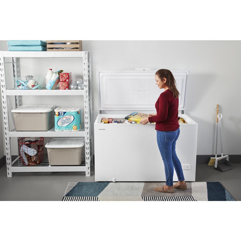 16 cu. ft. Amana® Chest Freezer