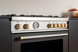 Satin Gold 12 knobs Dual Fuel